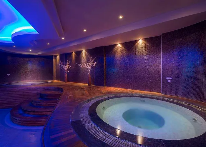 Titanic Business Kartal Отель Стамбул