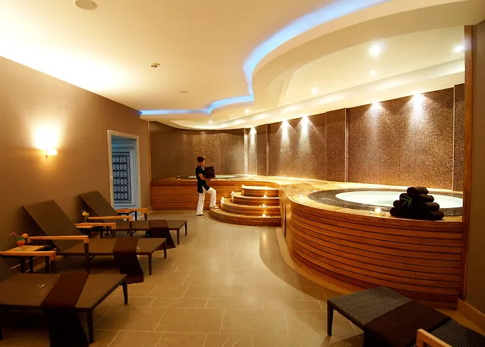 Отель Titanic Business Kartal Стамбул