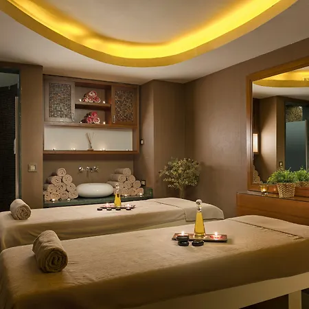 酒店 泰坦尼克卡尔塔尔商务酒店 伊斯坦布尔